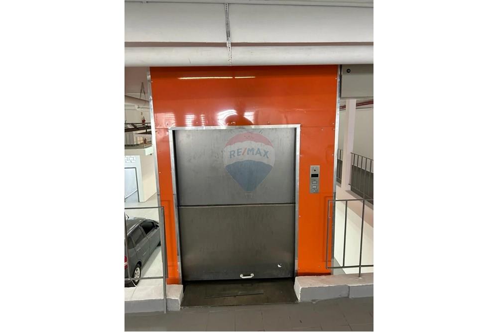 Galpão - Alugar - São Paulo , São Paulo - WhatsApp Image 2025-03-19 at 10.22.37.jpeg - 601971016-444