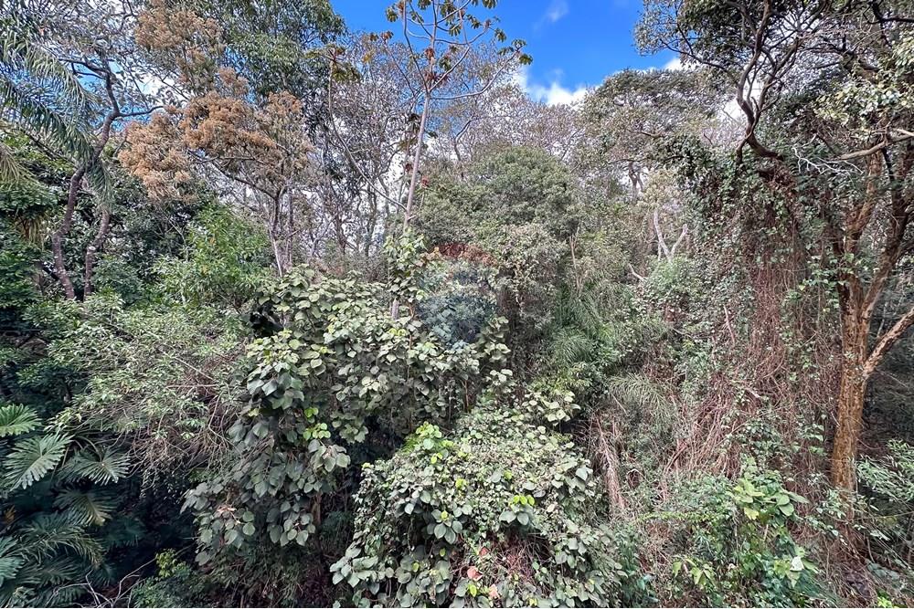 Apartamento - Venda - Vargem Grande Paulista , São Paulo - IMG_271819.jpg - 602241019-27