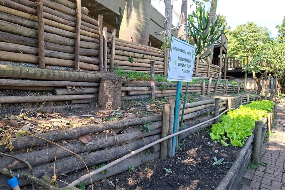 Apartamento - Alugar - São Paulo , São Paulo - WhatsApp Image 2025-08-07 at 14.26.29.jpeg - 602101011-227