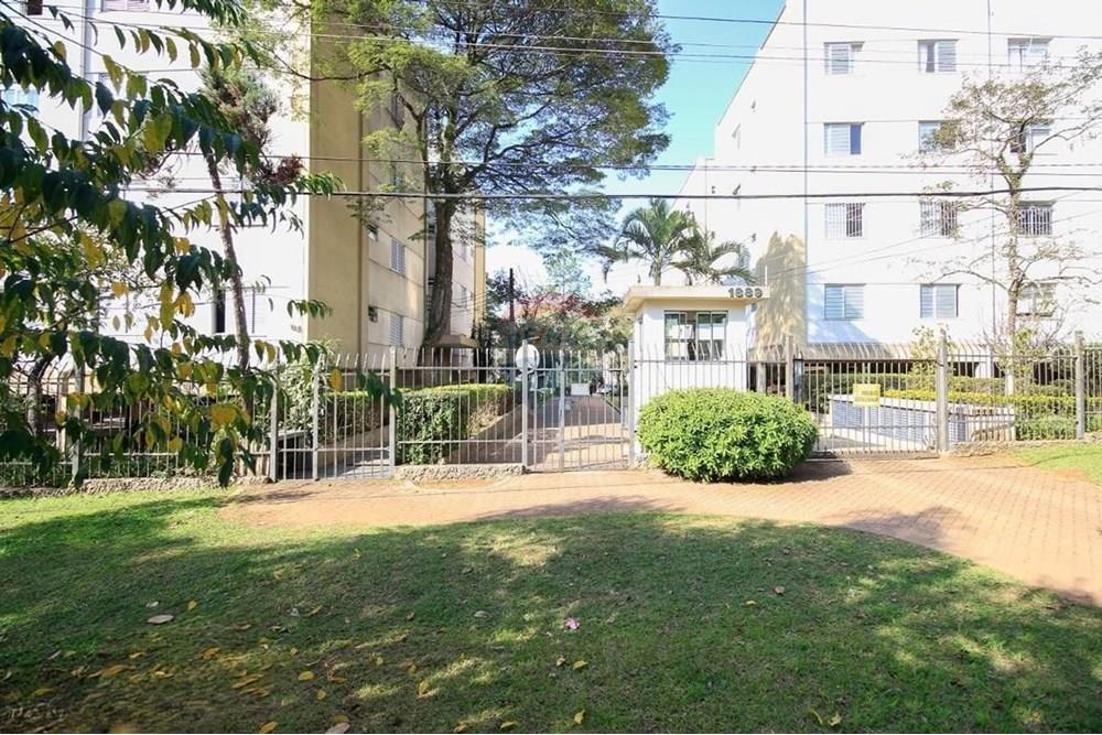 Apartamento - Alugar - São Paulo , São Paulo - WhatsApp Image 2025-09-15 at 10.00.01 (1).jpeg - 602161004-148