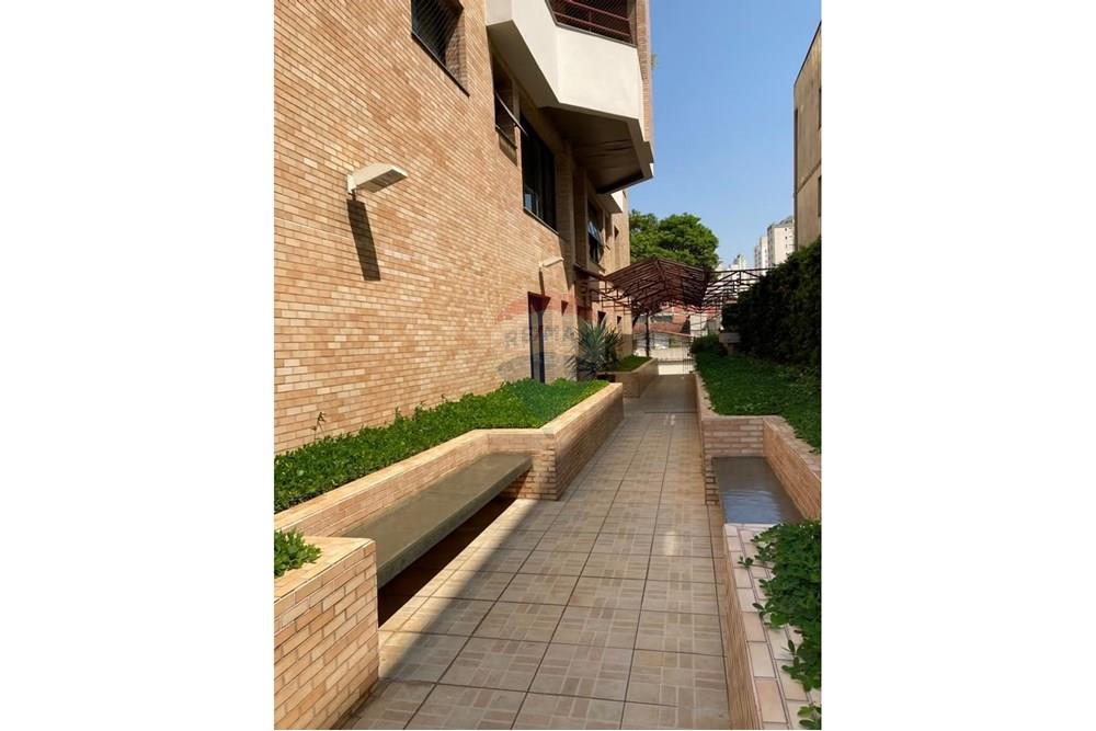 Apartamento - Alugar - São Paulo , São Paulo - 26a64547-0784-4fee-854b-35f17ccdf46b.jpg - 601971018-1241