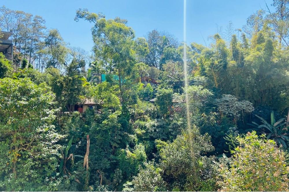 Apartamento - Alugar - São Paulo , São Paulo - IMG-20250904-WA0059.jpg - 602071012-27