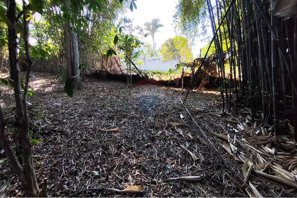Wohnung - Grund - Ferraz de Vasconcelos , Sao Paulo - BR - IMG_20250918_150031.jpg - 601451005-109
