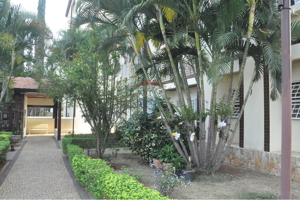 Apartamento - Venda - Campinas , São Paulo - DSC_6955.JPG - 602101011-112