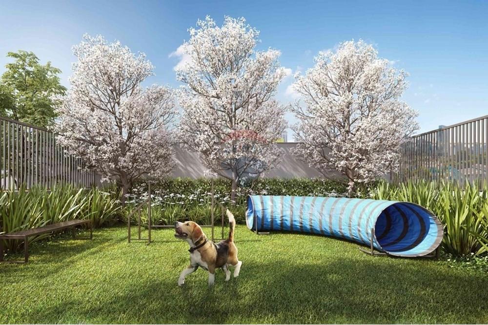 Apartamento - Venda - São Paulo , São Paulo - IMG-20250604-WA0041.jpg - 602321023-5