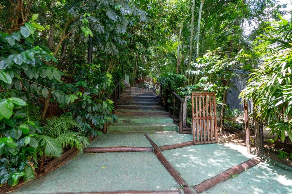 Apartamento - Venda - São Paulo , São Paulo - 1741634485084-046.jpeg - 601251016-72