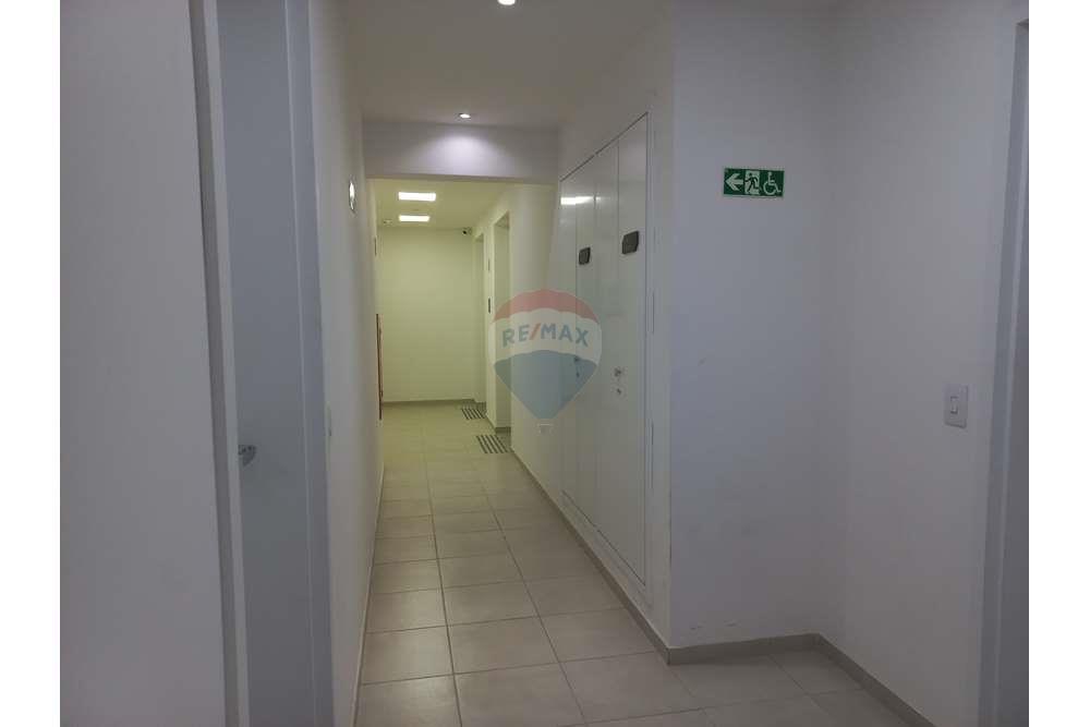 Apartamento - Venda - Campinas , São Paulo - 20240401_171520.jpg - 602101011-170