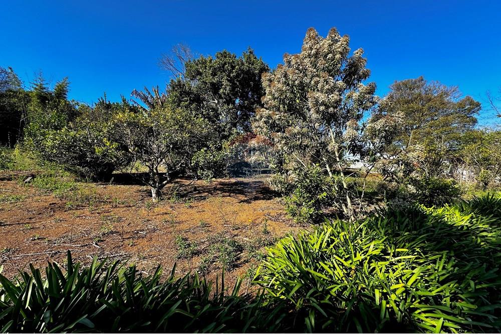 Terreno - Venda - Cotia , São Paulo - IMG_9078.jpg - 602331010-41