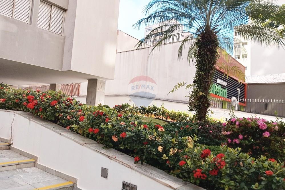 Apartamento - Alugar - São Paulo , São Paulo - 01 (4).jpg - 602281035-3