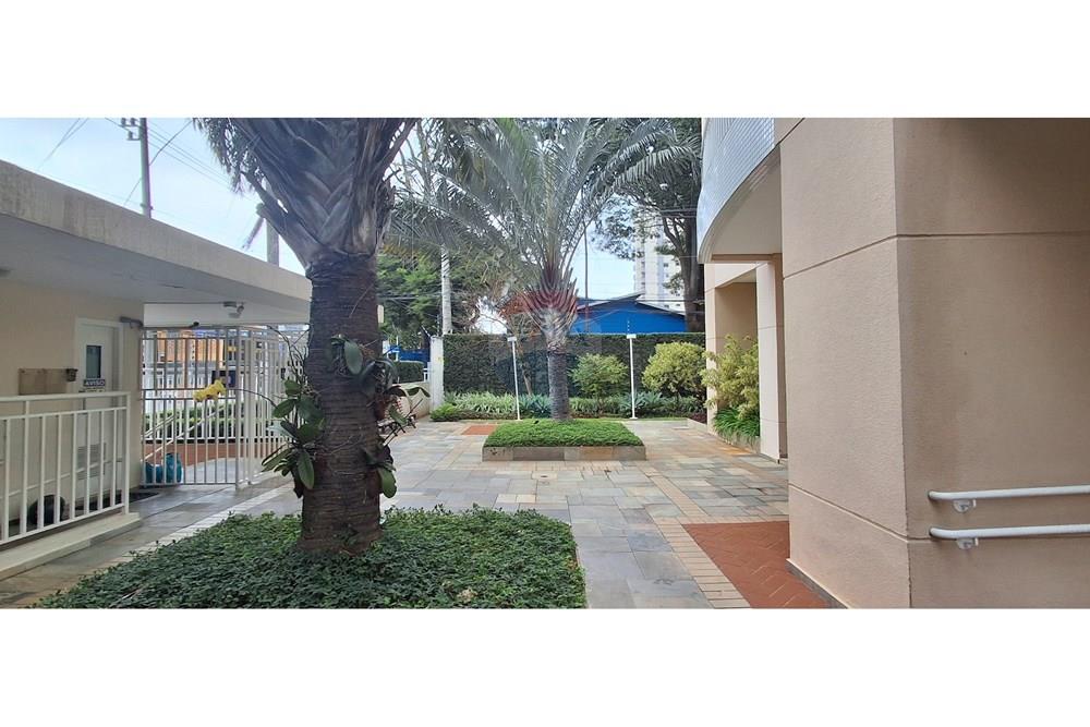 Apartamento - Alugar - São Paulo , São Paulo - 20250701_135057.jpg - 602151052-1