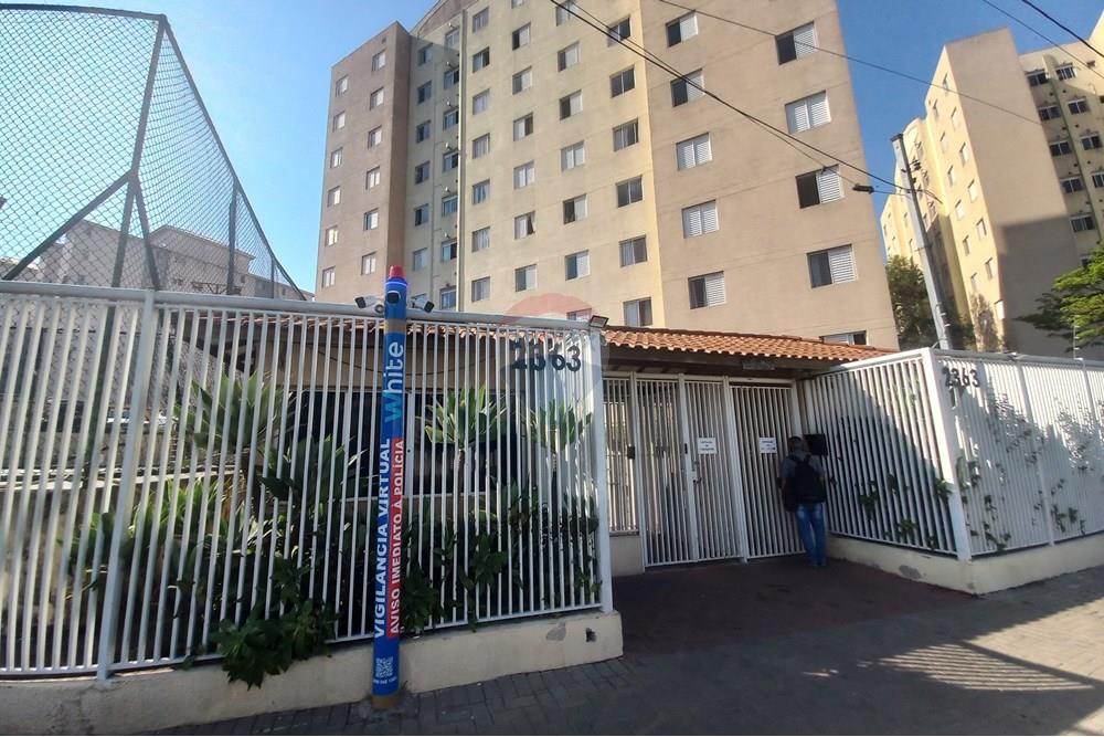 Apartamento - Alugar - São Paulo , São Paulo - 20250910_145632.jpg - 602131003-400