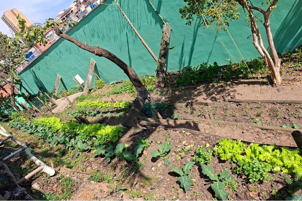 Apartamento - Alugar - São Paulo , São Paulo - WhatsApp Image 2025-08-07 at 14.26.29 (1).jpeg - 602101011-227