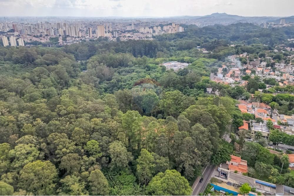 Apartamento - Venda - São Paulo , São Paulo - DJI_003805.jpg - 602291006-24