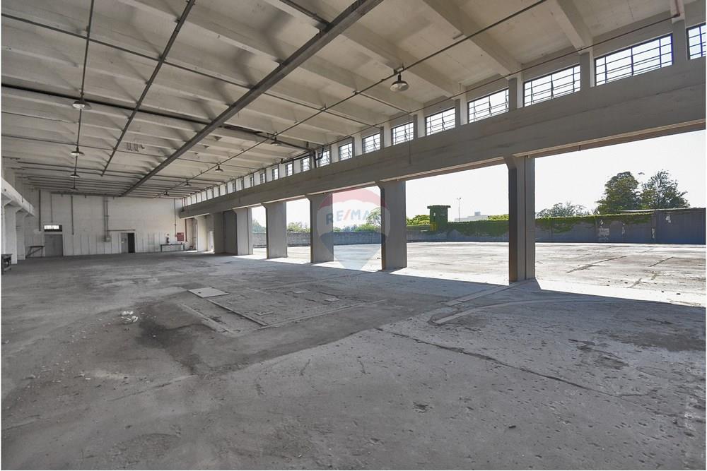 Galpão - Alugar - São Paulo , São Paulo - 16.jpeg - 602291016-63