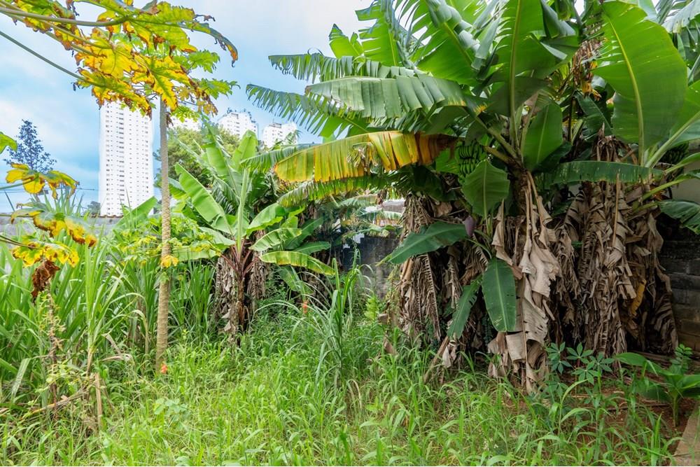 Casa - Venda - São Paulo , São Paulo - Cópia de 2-DSC05859.jpg - 601131001-6