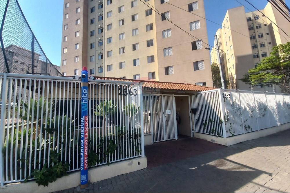 Apartamento - Alugar - São Paulo , São Paulo - 20250910_145636.jpg - 602131003-400