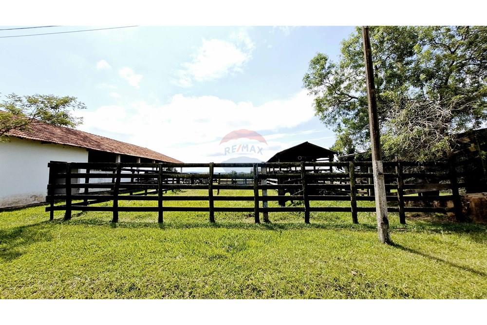 Fazenda - Venda - Itapetininga , São Paulo - SITIO ITAPETININGA (95).jpg - 602301007-5