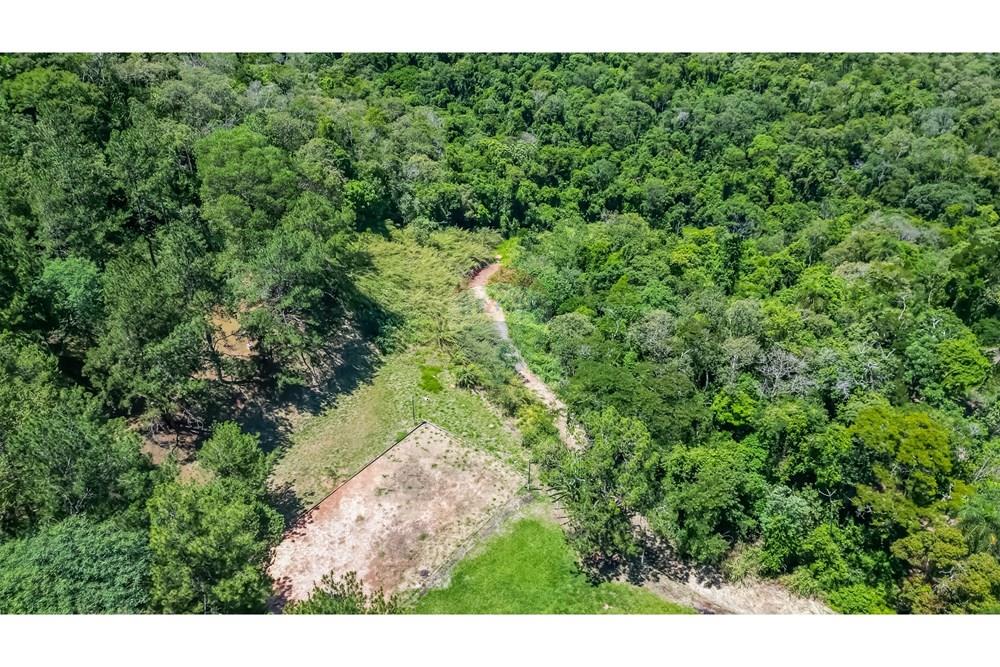 Sítio, 4 quartos, 7 hectares - Foto 11