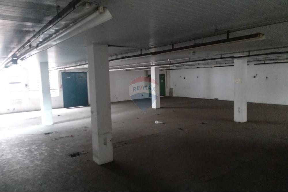 Galpão - Alugar - São Paulo , São Paulo - 599693e4-dd3a-4a00-9454-385dadd8bc83.jpeg - 602291018-101