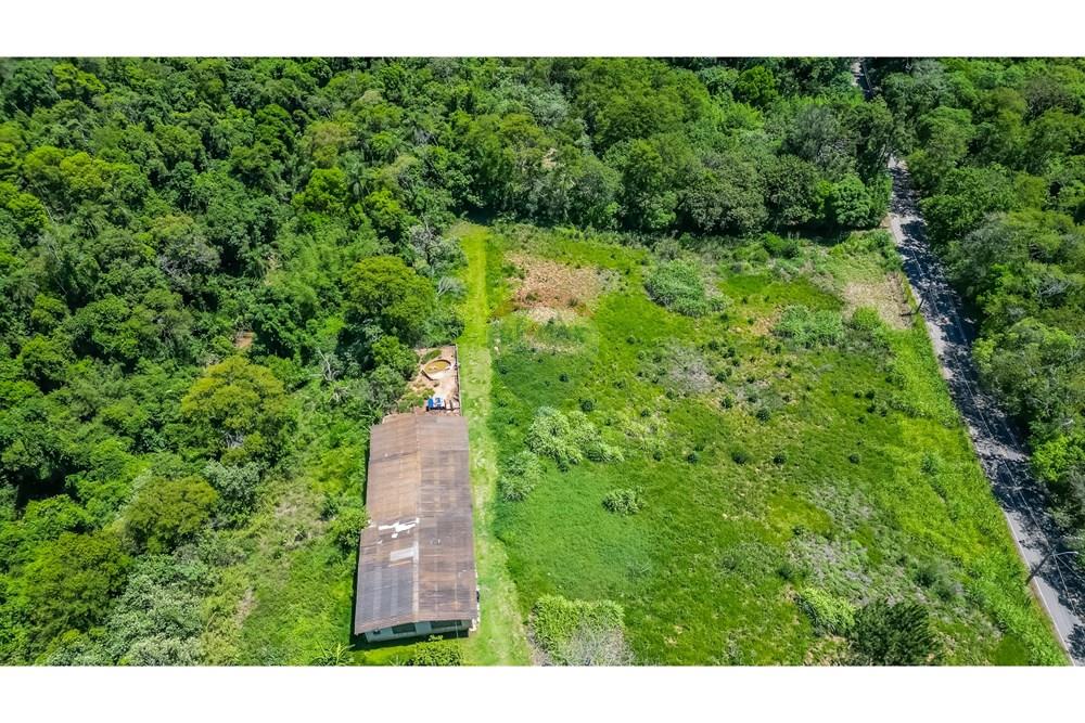 Sítio, 4 quartos, 7 hectares - Foto 13