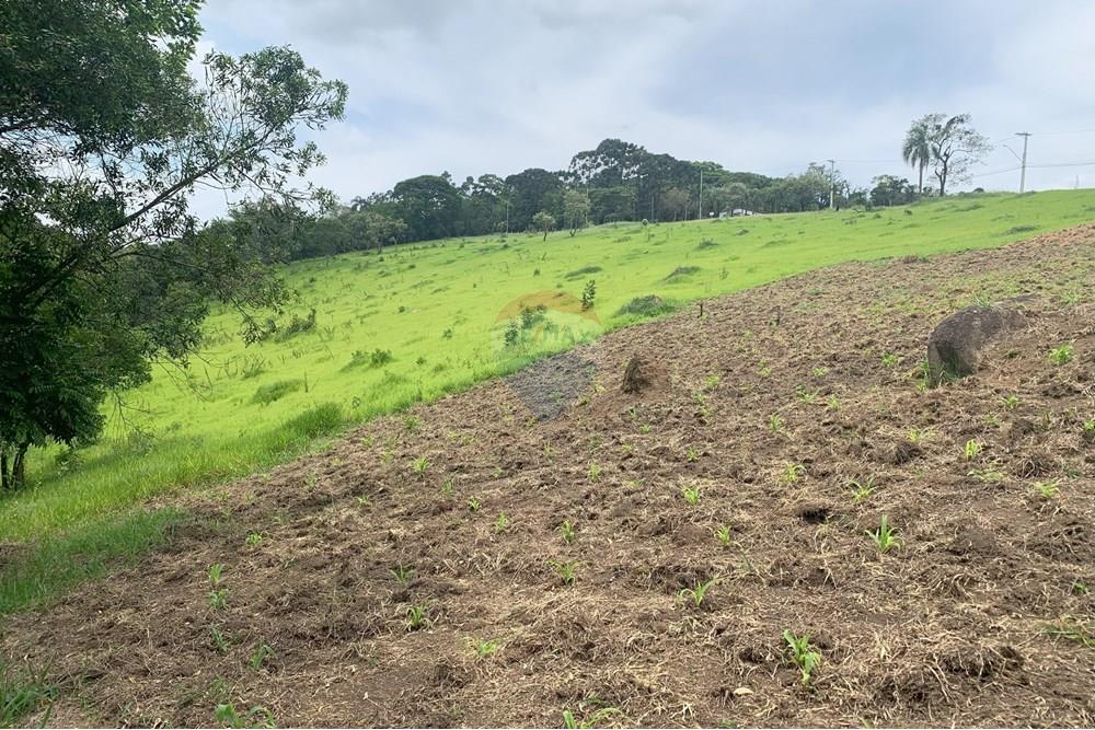 Terreno - Venda - Santana de Parnaíba , São Paulo - IMG_4404.jpg - 601081091-2
