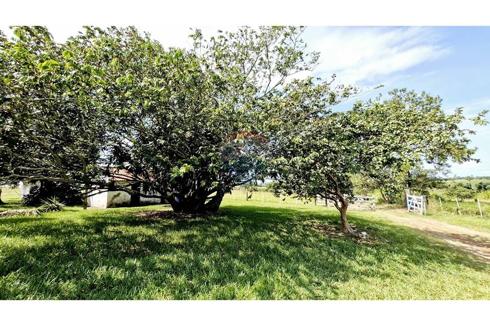 Fazenda - Venda - Itapetininga , São Paulo - SITIO ITAPETININGA (107).jpg - 602301007-5