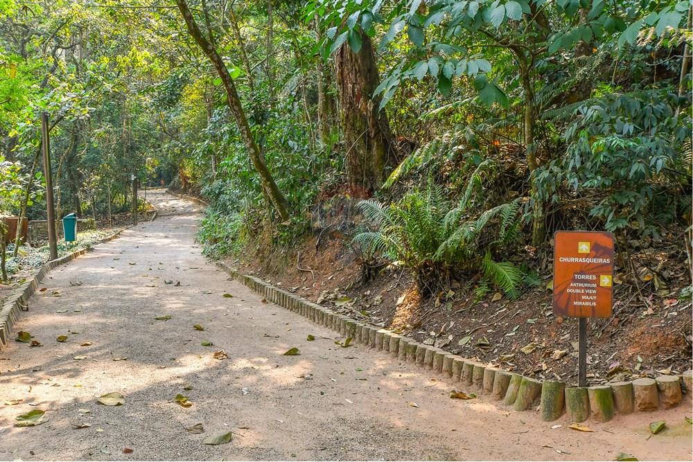 Cobertura - Venda - São Paulo , São Paulo - Foto-18.jpg - 601251016-70