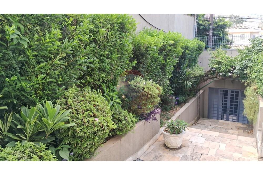 Casa - Alugar - São Paulo , São Paulo - WhatsApp Image 2024-04-13 at 15.05.34.jpeg - 601971016-498