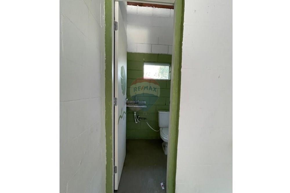 Galpão - Alugar - São Paulo , São Paulo - L228_16.jpg - 602291016-266