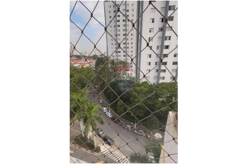 Apartamento - Alugar - São Paulo , São Paulo - 1-2-imagens-56.jpg - 601261107-4