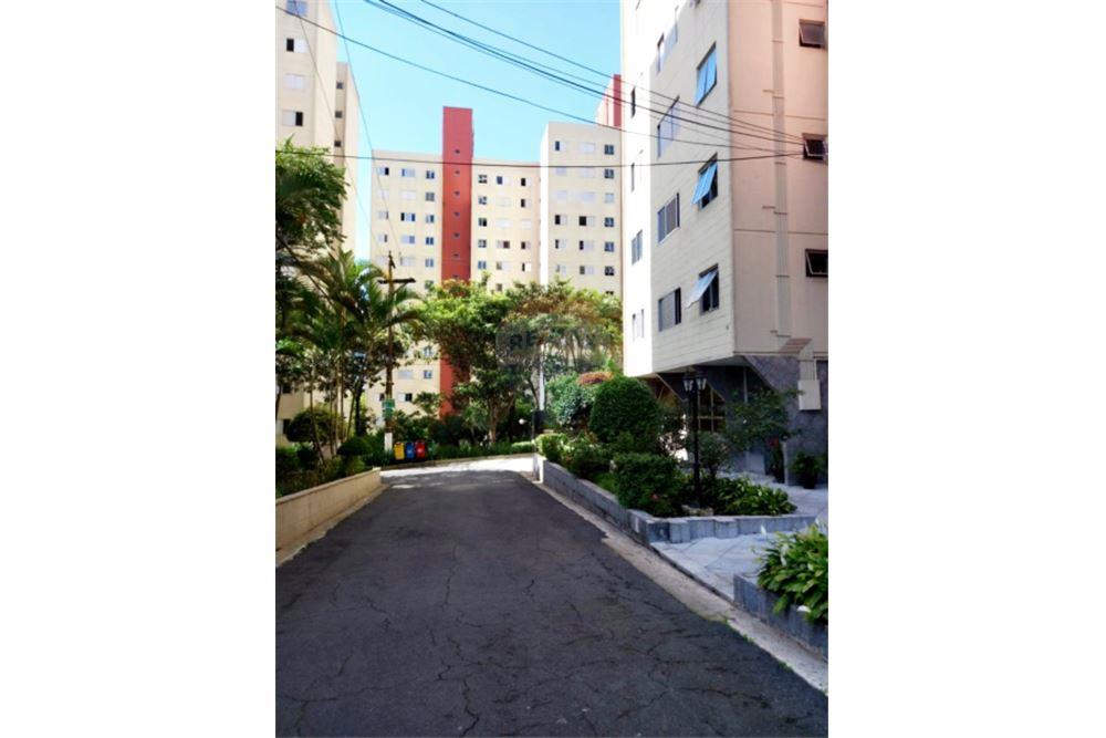 Apartamento - Alugar - São Paulo , São Paulo - 27 - 602171005-69