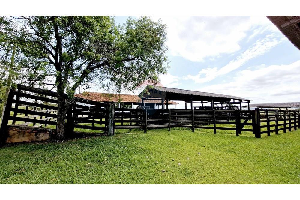 Fazenda - Venda - Itapetininga , São Paulo - SITIO ITAPETININGA (102).jpg - 602301007-5