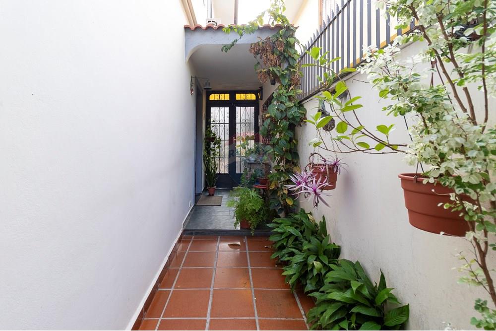 Casa - Venda - São Paulo , São Paulo - 01fotos_027.jpg - Quintal - 601251032-79