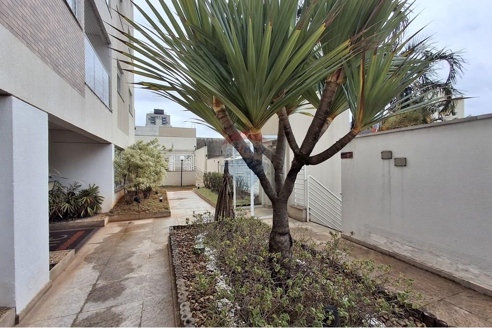 Apartamento - Alugar - São Paulo , São Paulo - 20250701_114227.jpg - 602281011-22