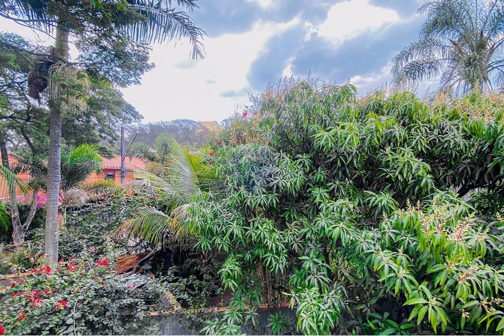 Apartamento - Venda - São Paulo , São Paulo - IMG_897601.jpg - 601441031-23