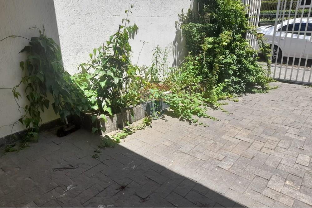 Casa Comercial - Alugar - São Paulo , São Paulo - WhatsApp Image 2024-12-16 at 13.51.57 (3).jpeg - 602151006-46