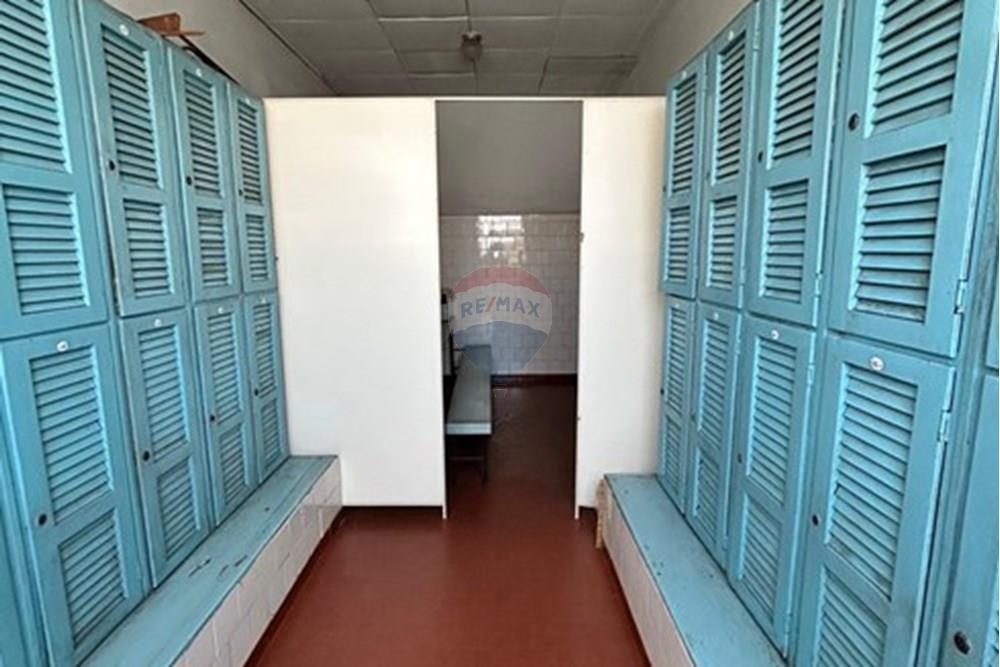 Galpão - Alugar - São Paulo , São Paulo - IMG-20250912-WA0028.jpg - 602261032-19