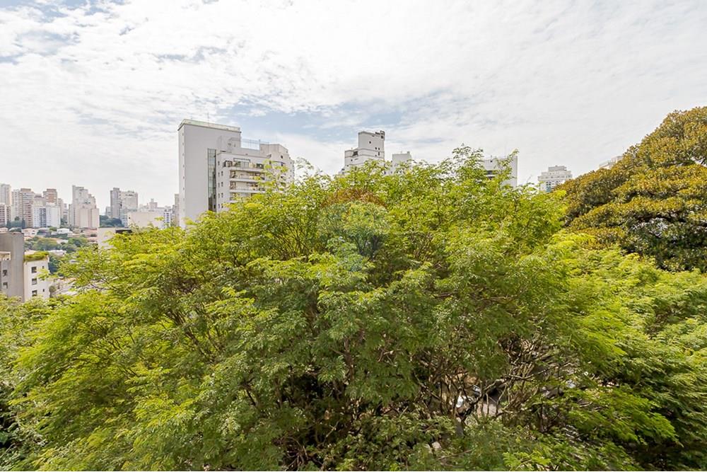 Apartamento - Venda - São Paulo , São Paulo - 39- Vista Espetacular da Sala e da Varanda IMG_3834.jpg - Jardim Externo - 601081024-29