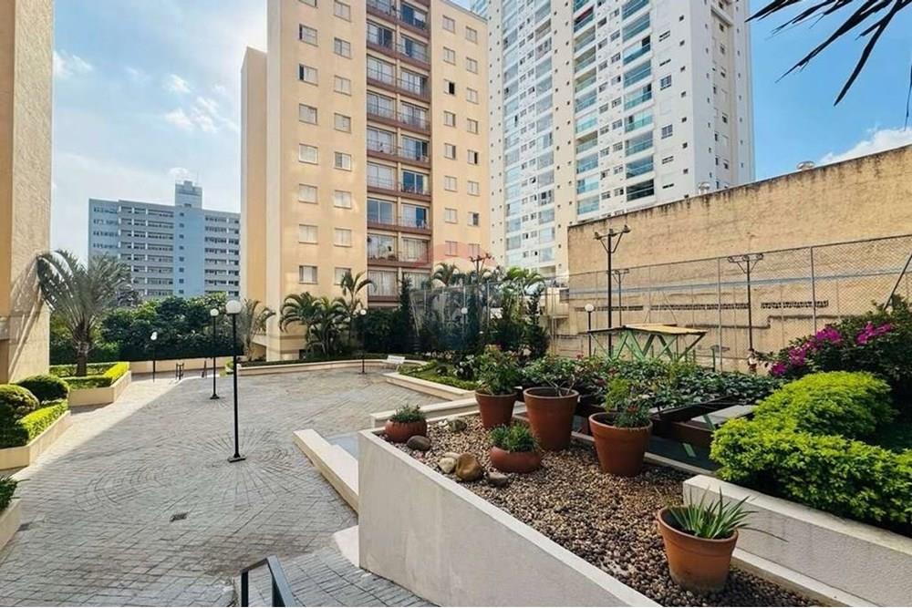 Apartamento - Alugar - São Paulo , São Paulo - 38 sms terreo X10.jpg - 601361040-141