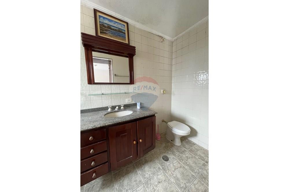 Casa Comercial - Alugar - São Paulo , São Paulo - IMG_8428.jpg - 601261089-480