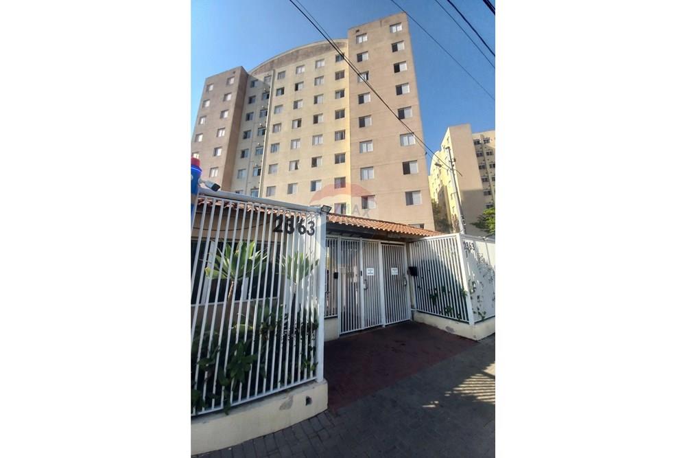 Apartamento - Alugar - São Paulo , São Paulo - 20250910_145641.jpg - 602131003-400