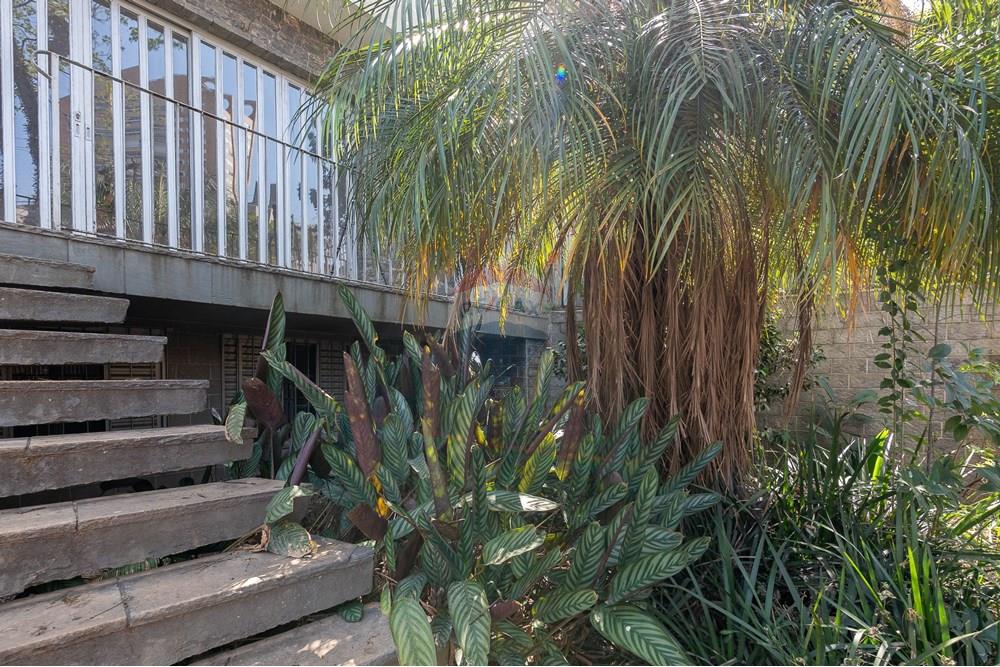 Casa - Venda - São Paulo , São Paulo - 67_CS.jpg - 601471027-10