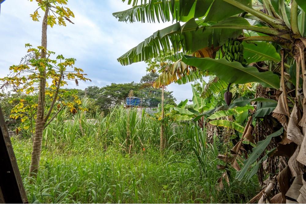 Casa - Venda - São Paulo , São Paulo - Cópia de 29-DSC05887.jpg - 601131001-6