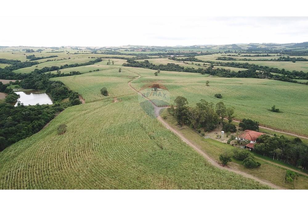 Fazenda - Venda - Itapetininga , São Paulo - SITIO ITAPETININGA (10).jpg - 602301007-5