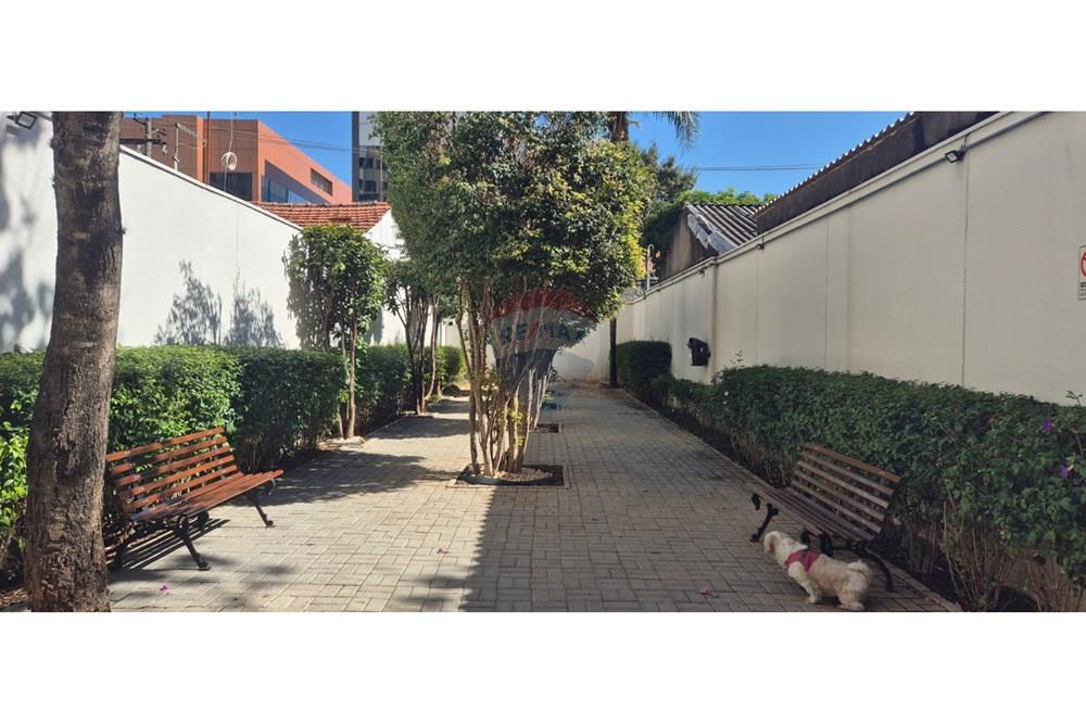 Apartamento - Alugar - São Paulo , São Paulo - WhatsApp Image 2024-08-05 at 11.36.04 (1).jpeg - 602321013-53