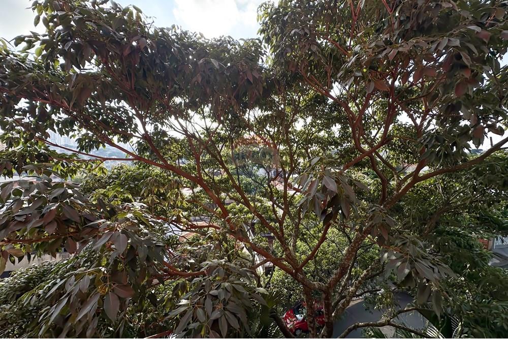 Apartamento - Venda - São Paulo , São Paulo - IMG_039403.jpg - Jardim Externo - 602161019-1