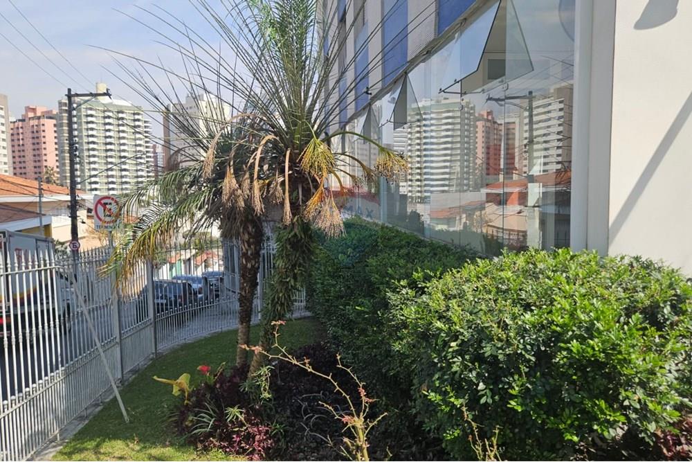 Apartamento - Alugar - São Paulo , São Paulo - Imagem do WhatsApp de 2025-10-04 à(s) 17.52.49_6e6790bf.jpg - 601051084-10