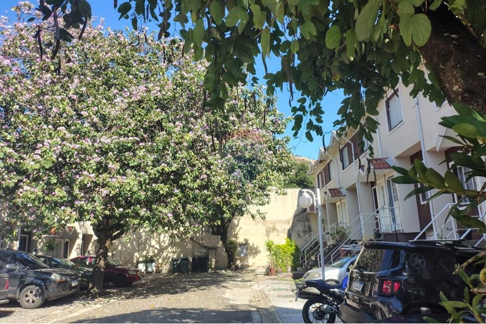 Casa de Condomínio - Venda - São Paulo , São Paulo - WhatsApp Image 2025-07-29 at 14.09.01 (4).jpeg - 602381005-1