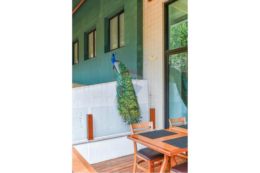 Cobertura - Venda - São Paulo , São Paulo - Foto-42.jpg - 601251016-70