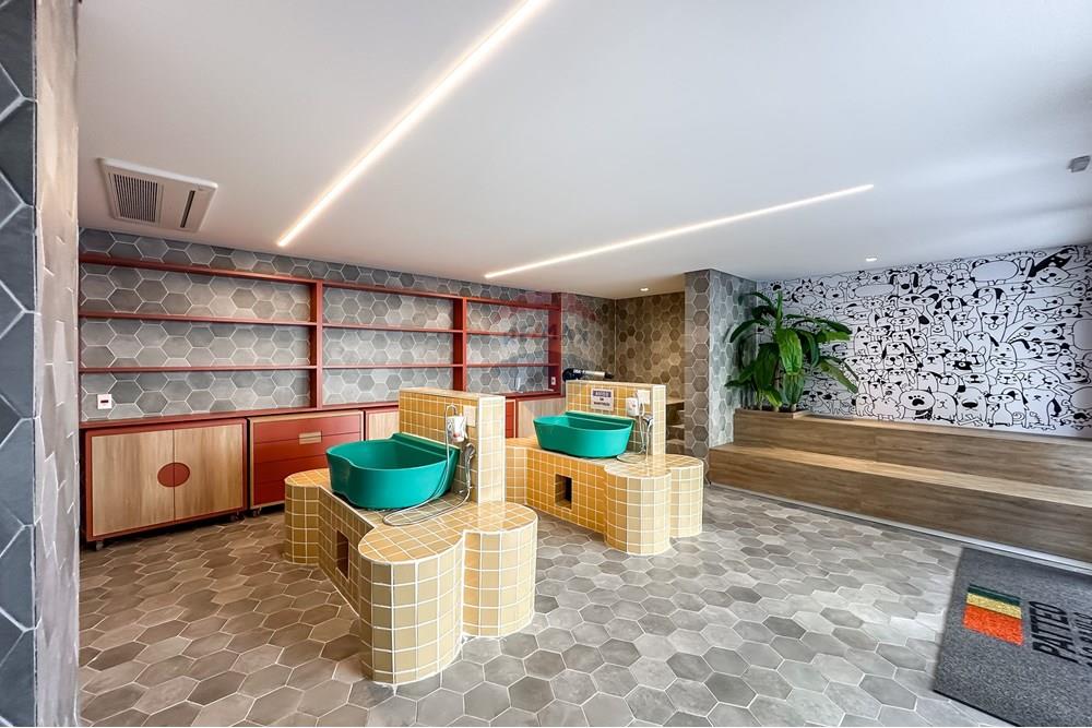 Apartamento - Venda - São Paulo , São Paulo - IMG_108438.jpg - 602361006-6